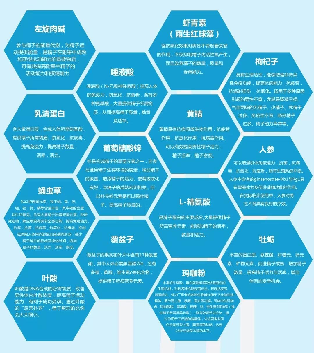 成分(1).jpg